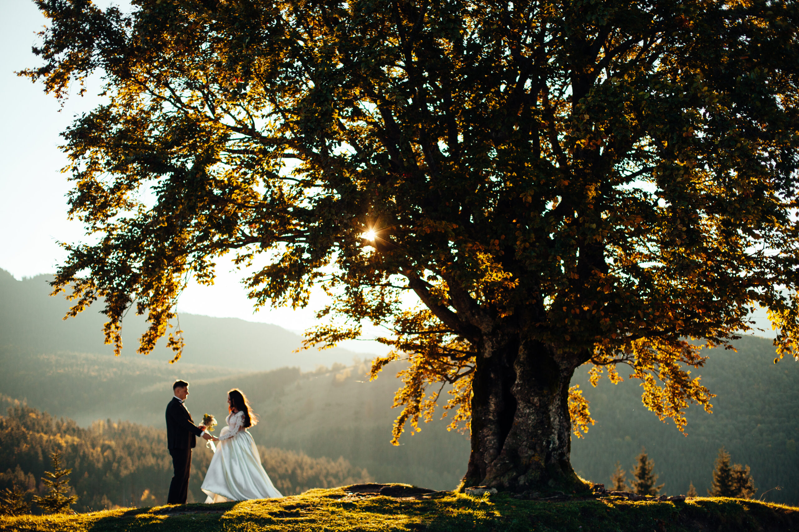 Tipperary Wedding & Corporate Videography Services